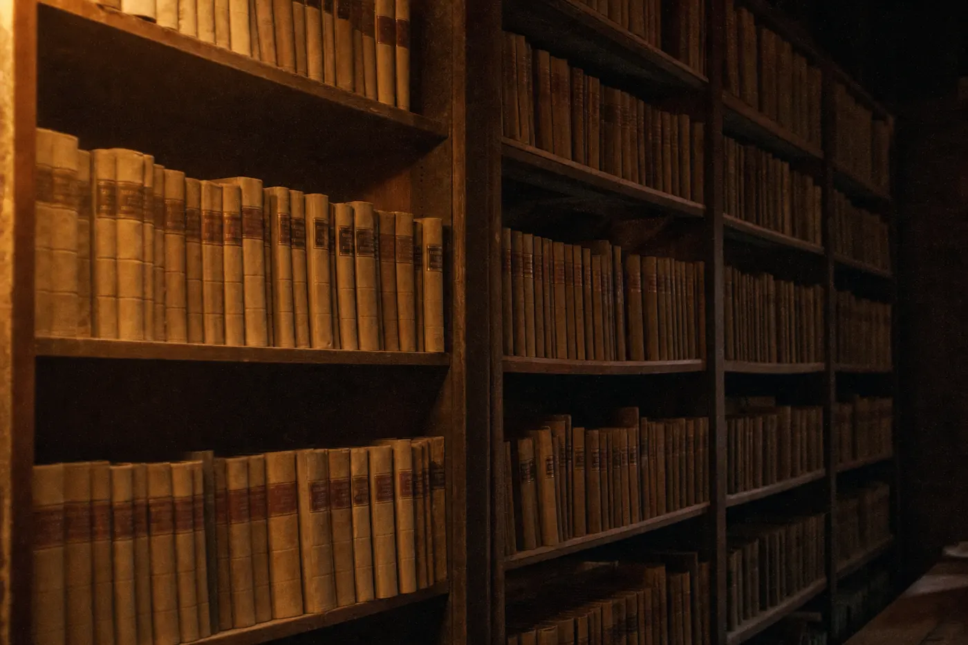 Rayonnage d’archives : registres reliés alignés dans une lumière chaude et déclinante.